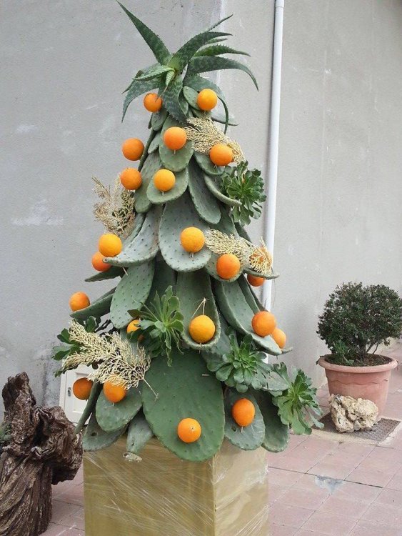 albero_di_natale.jpg