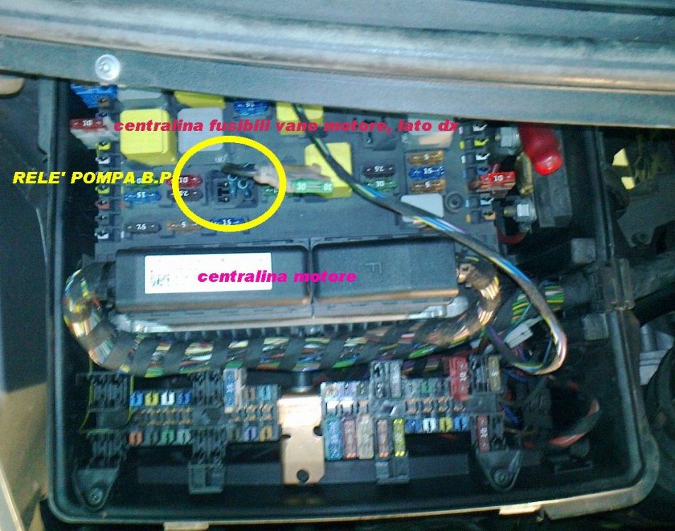 mercedes_vito_rele_pompa_bp.jpg