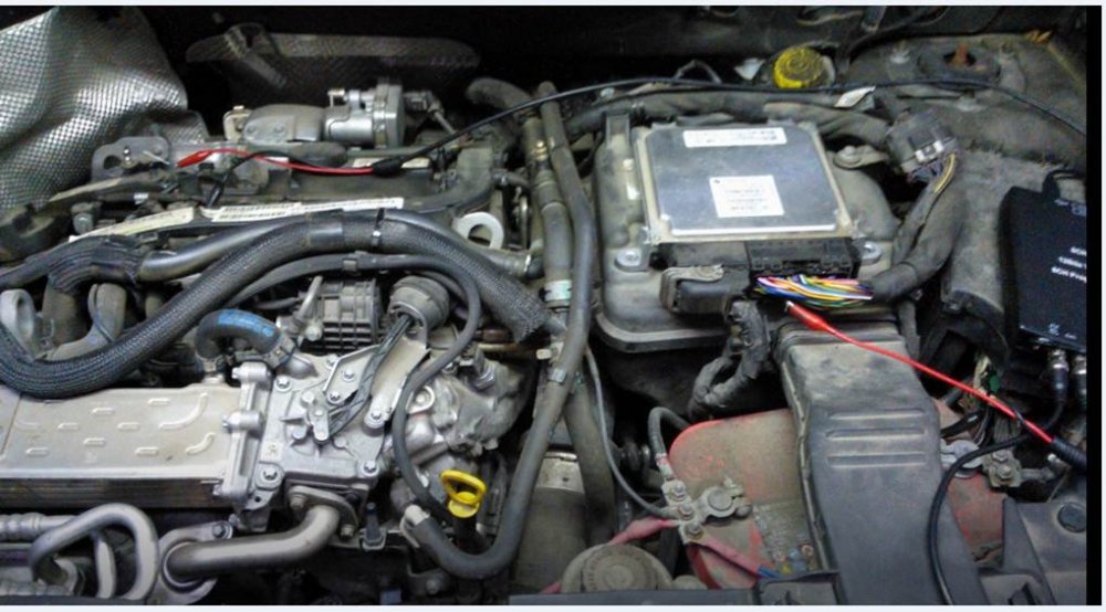 collegamenti x segnali.jpg