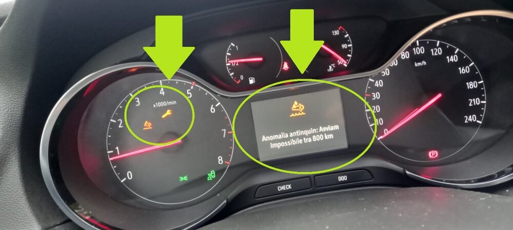 WhatsApp Image 2022-11-30 at 09.02.34.jpeg