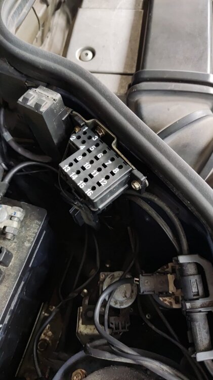 WhatsApp Image 2023-06-13 at 15.40.42.jpeg