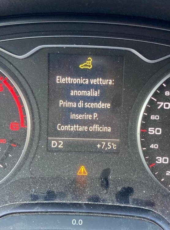 WhatsApp Image 2024-01-11 at 19.36.32.jpeg