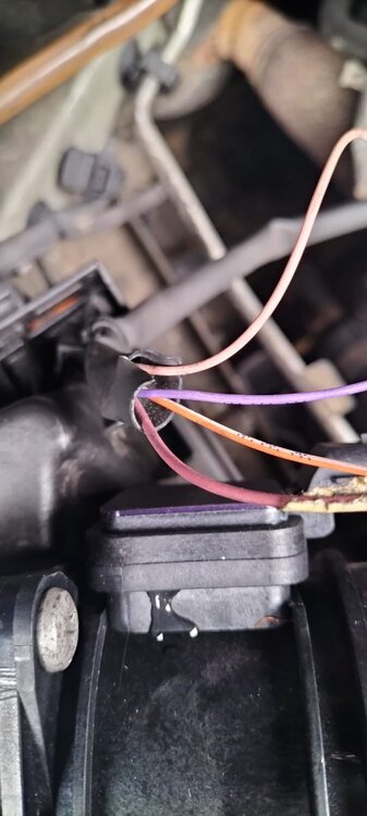 Immagine WhatsApp 2024-10-04 ore 09.37.20_eb0949f3.jpg