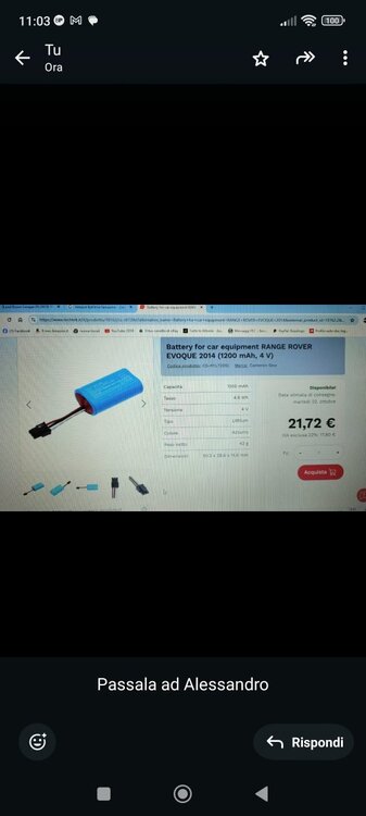 BATTERIA IN ZONA FUSIBILI ROVER.jpg