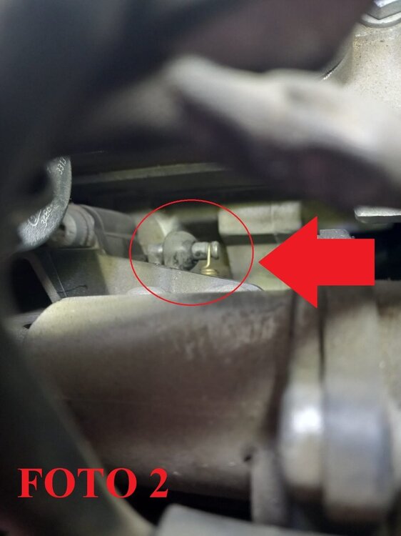 Immagine WhatsApp 2024-12-12 ore 10.54.50_716f417e.jpg