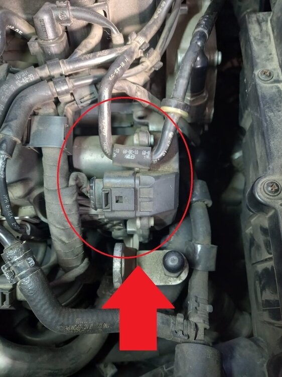 Immagine WhatsApp 2024-12-12 ore 10.54.50_79a038d9.jpg