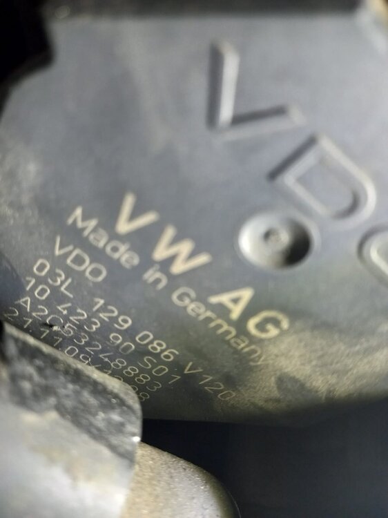 Immagine WhatsApp 2024-12-12 ore 10.54.50_82795167.jpg