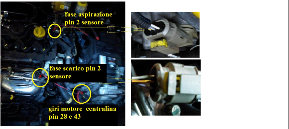 forum 1 riferimenti pin segnali.png