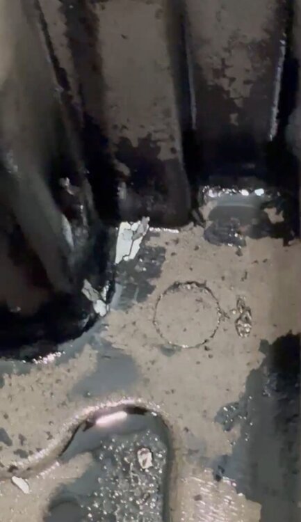 WhatsApp Image 2025-03-08 at 1.42.49 PM.jpeg