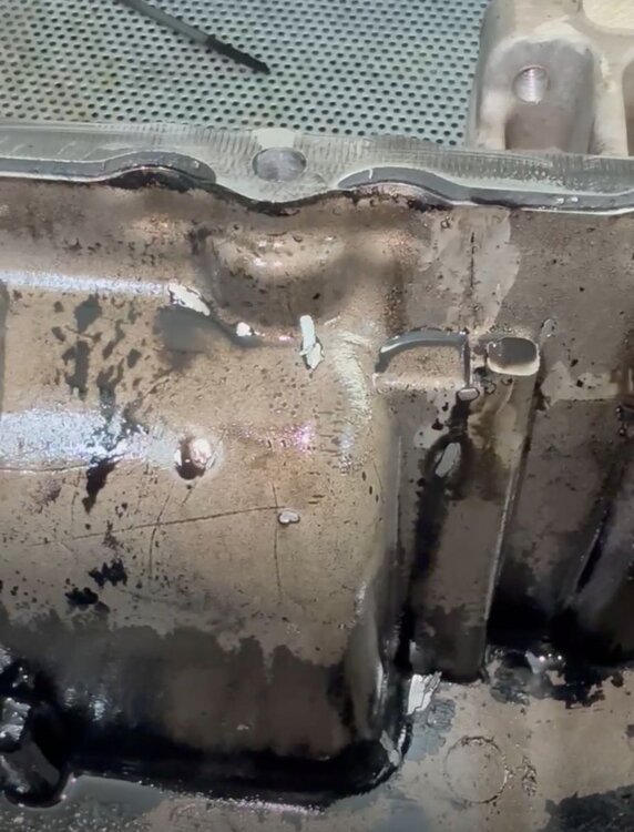 WhatsApp Image 2025-03-08 at 1.42.50 PM.jpeg