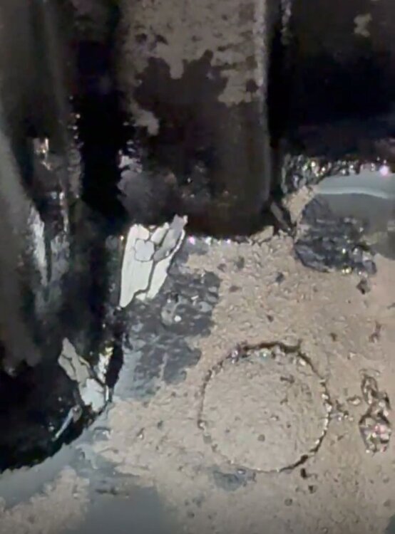 WhatsApp Image 2025-03-08 at 1.42.51 PM.jpeg