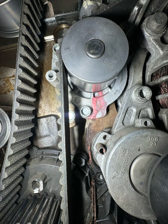 Immagine WhatsApp 2025-04-14 ore 18.51.16_d1631a98.jpg