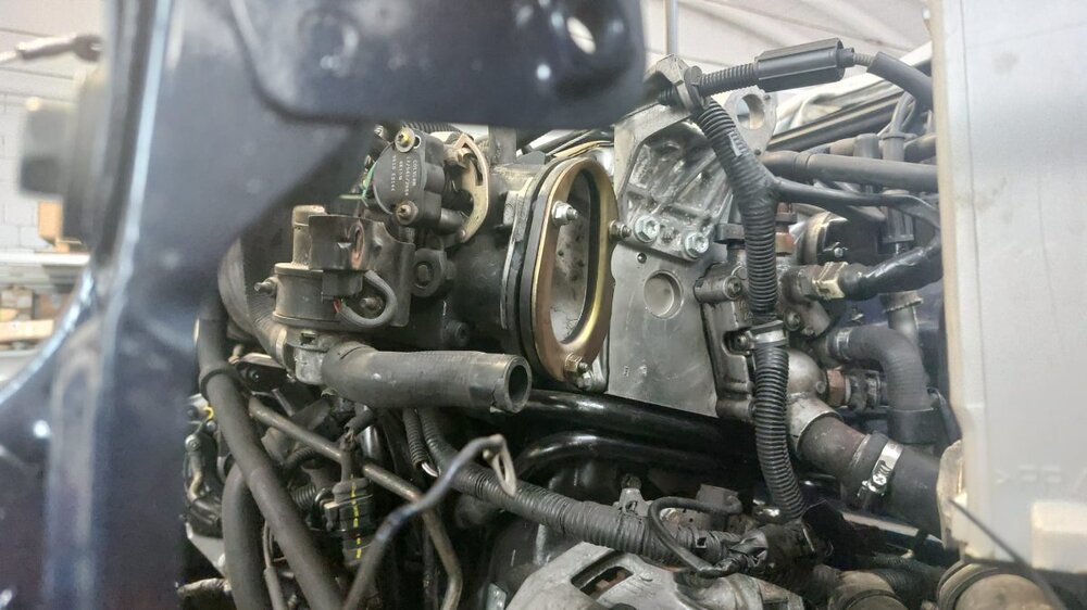 WhatsApp Image 2025-05-23 at 16.29.43.jpeg