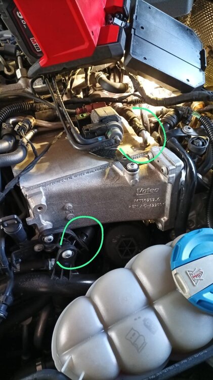 WhatsApp Image 2025-06-03 at 5.58.53 PM.jpeg