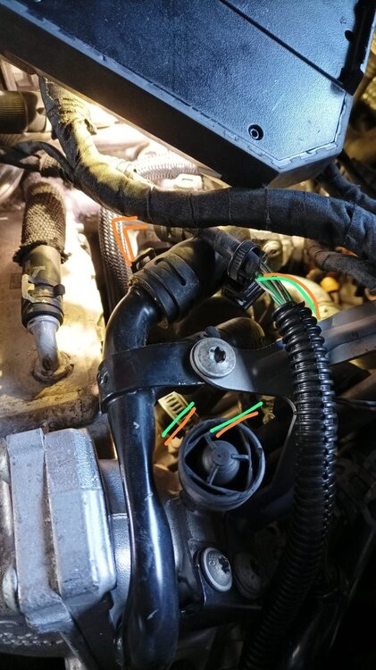 WhatsApp Image 2025-06-03 at 5.59.29 PM.jpeg