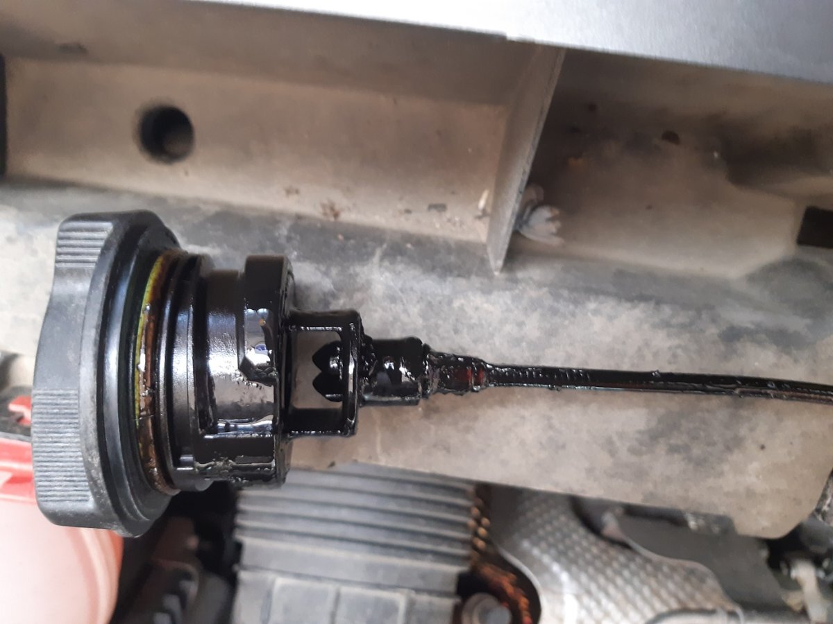 [JEEP RENEGADE 09/2019 1000cc 55282151 (T3) 85Kw Benzina] auto in ...