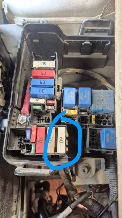 WhatsApp Image 2025-10-29 at 22.57.27 (1).jpeg