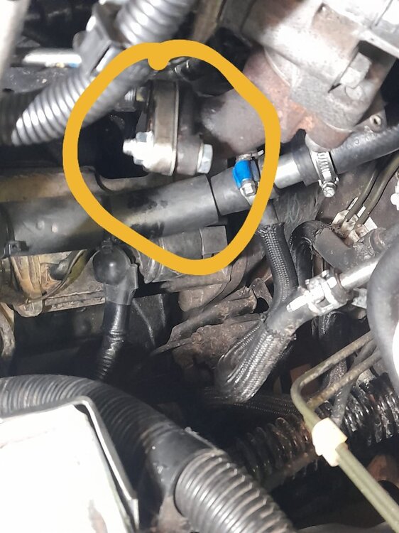 WhatsApp Image 2025-11-19 at 16.51.18.jpeg