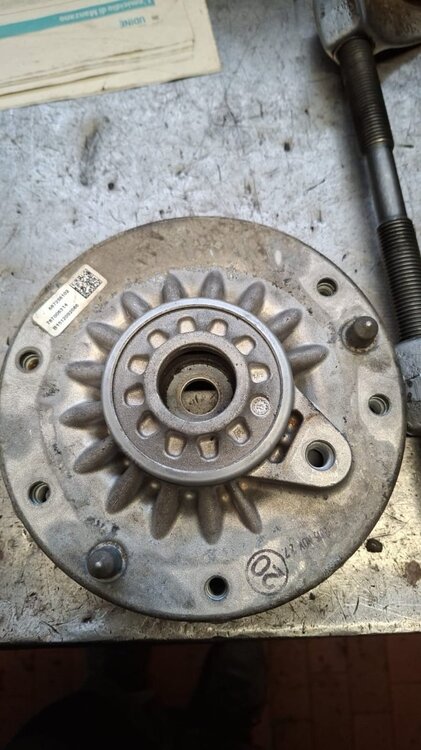 WhatsApp Image 2026-01-02 at 13.56.20.jpeg