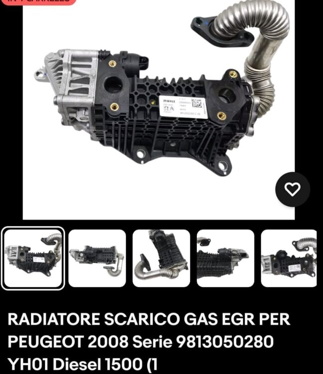 WhatsApp Image 2026-01-20 at 16.09.19 (1).jpeg