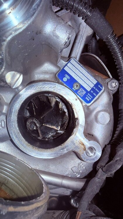 WhatsApp Image 2026-02-15 at 11.33.24 AM (1).jpeg