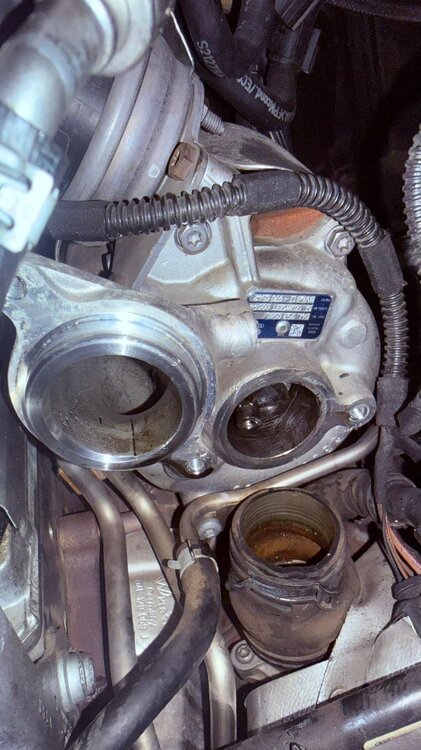 WhatsApp Image 2026-02-15 at 11.33.25 AM (1).jpeg