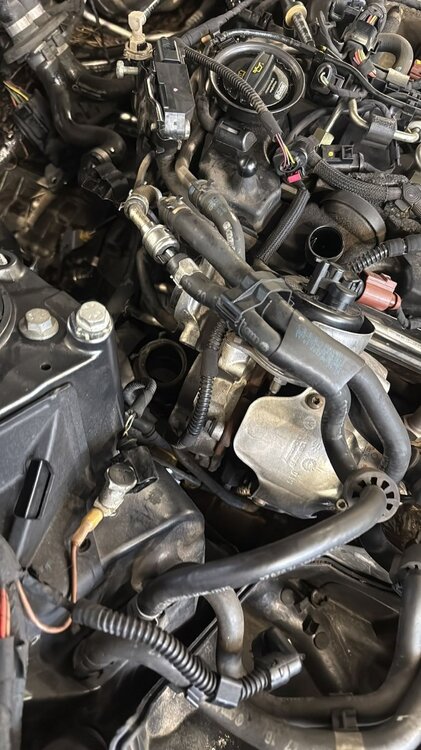 WhatsApp Image 2026-02-15 at 11.33.25 AM (2).jpeg