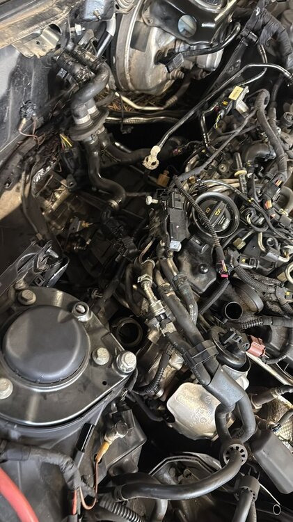 WhatsApp Image 2026-02-15 at 11.33.25 AM (3).jpeg