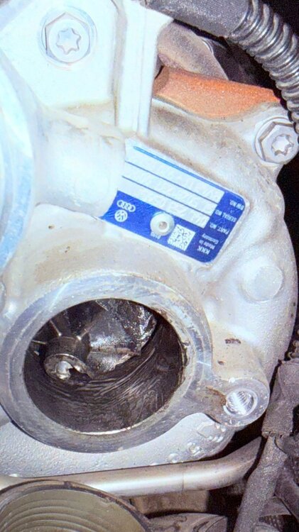 WhatsApp Image 2026-02-15 at 11.33.25 AM.jpeg