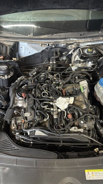 WhatsApp Image 2026-02-15 at 11.33.26 AM.jpeg