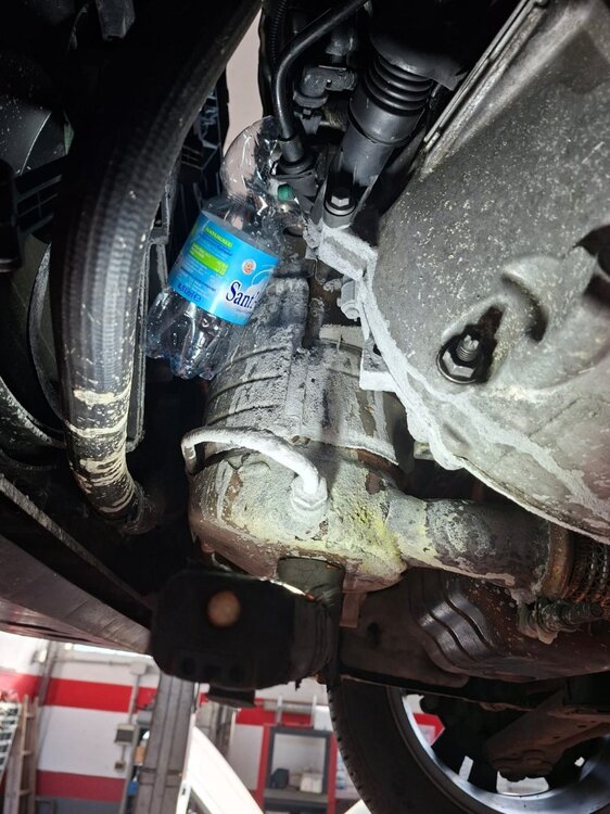 WhatsApp Image 2026-04-22 at 08.57.10.jpeg