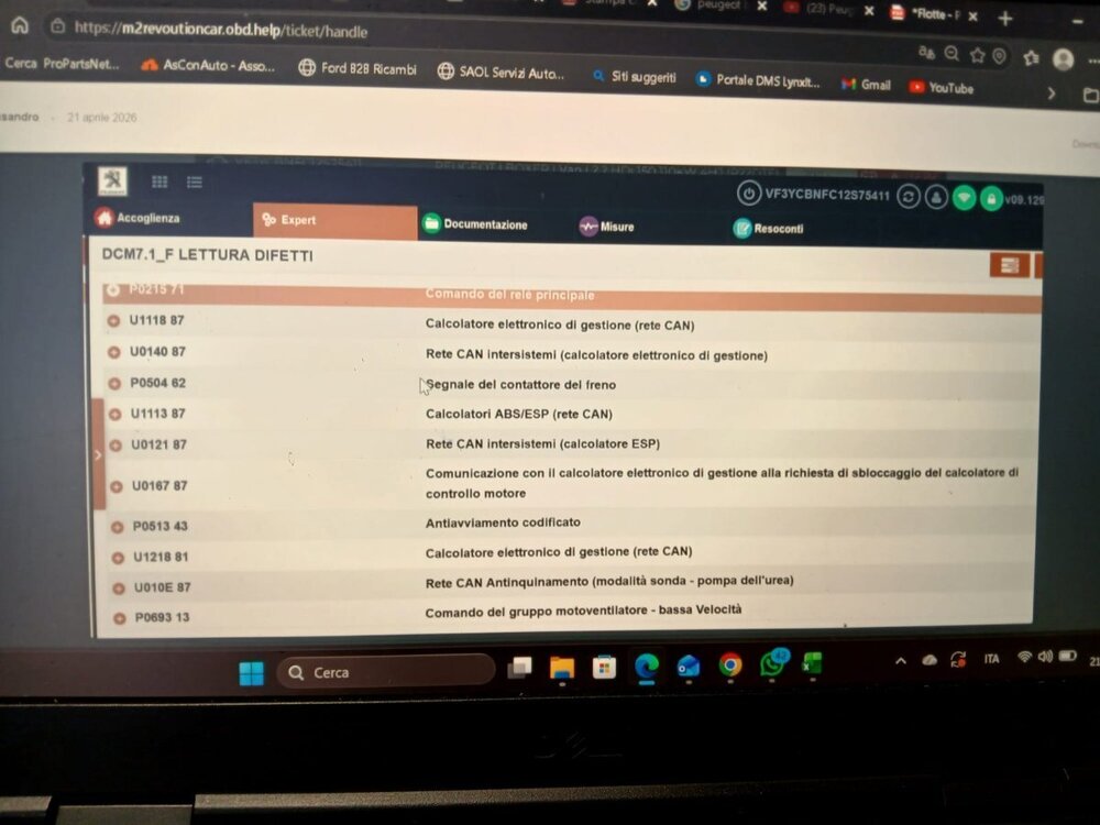 errore peugeout.jpeg