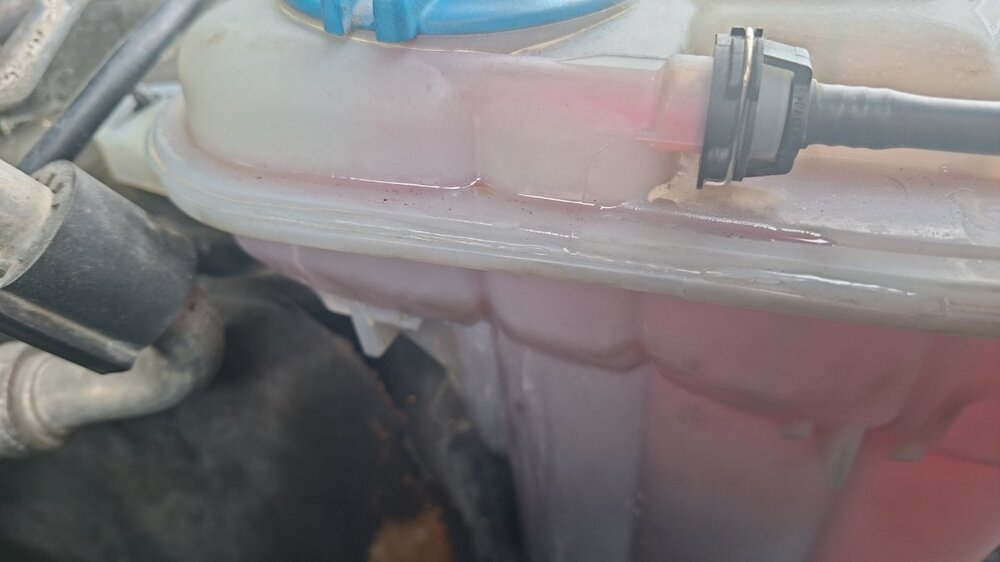 IMG-20260513-WA0035.jpeg