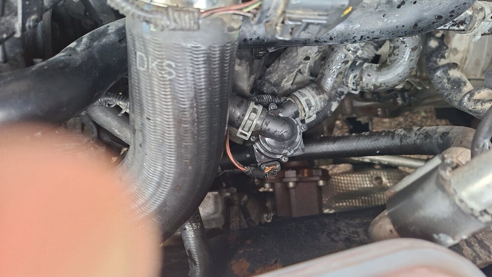 IMG-20260513-WA0039.jpeg